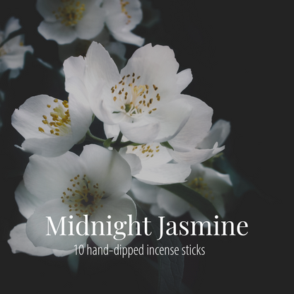 White jasmine blossoms with gold stamens against a near-black background, with the Midnight Jasmine label overlaid in white