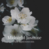 White jasmine blossoms with gold stamens against a near-black background, with the Midnight Jasmine label overlaid in white