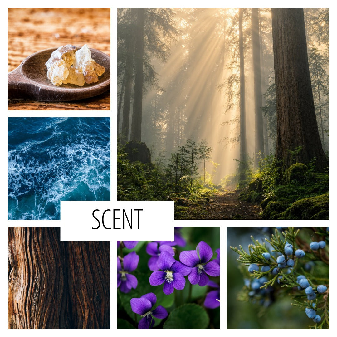 A scent-themed collage with six panels: two showing raw ingredients (crushed white stones and blue berries), one forest scene with sun rays through trees, one blue ocean wave, one dark wood grain, one purple flower cluster, and one green evergreen branch. A central white label reads “SCENT.