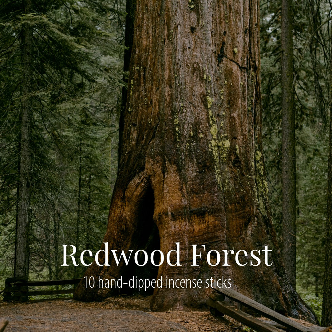 A huge redwood trunk towering in a green forest beside a weathered wooden fence, with the Redwood Forest label overlaid in white