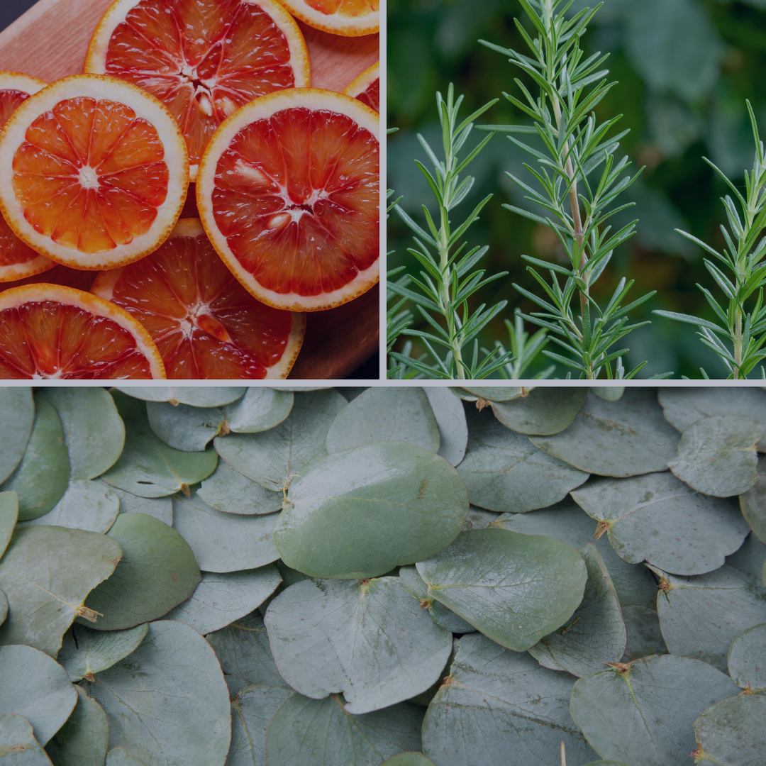 Cleansing & Protection Oil